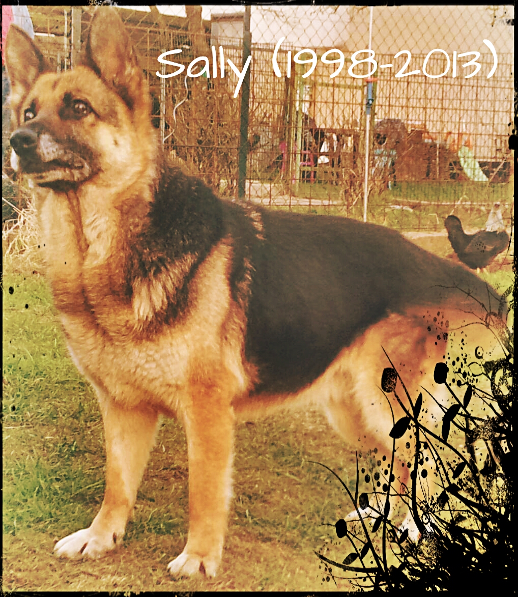 2012-03-16 18.25.59 Sally