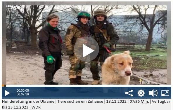 WDR-Bericht-Notpfote-Hunderettung-in-der-Ukraine