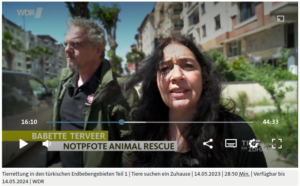 Notpfote #animalhopeunited im Erdbebengebiet um Hatay in der Türkei